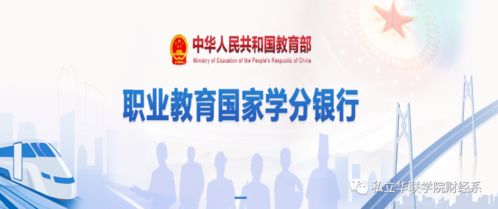 财经系学子在1+x财务共享服务职业技能等级证书初级考试中斩获佳绩，凸显信息技术咨询服务领域卓越人才培养成果